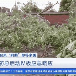 垫江天气预报（垫江天气预报40天查询结果）