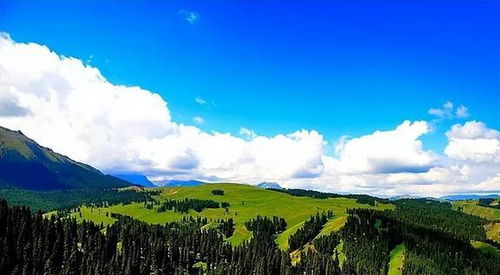新疆旅游（新疆旅游必去十大景点）