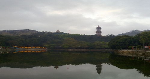 普宁天气预报(普宁天气) 普宁天气预报(普宁天气)