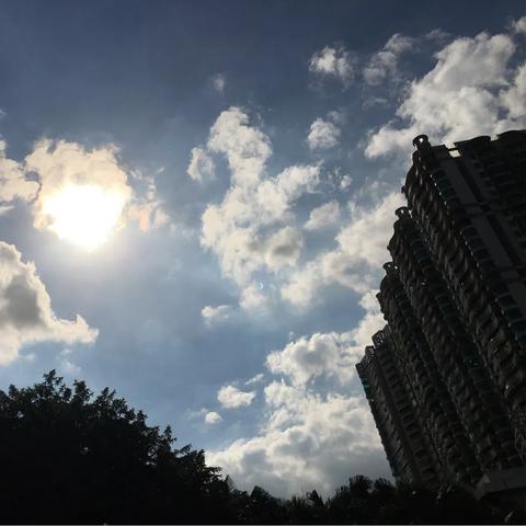广州天气情况(上周广州天气情况) 广州天气情况(上周广州天气情况)