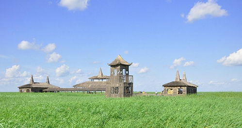 杜尔伯特天气预报(杜尔伯特天气预报15天查询百度) 杜尔伯特天气预报(杜尔伯特天气预报15天查询百度)
