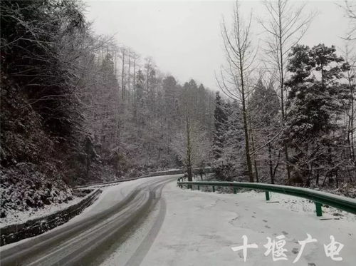明天新昌几点下雨（新昌什么时候下雪2020）